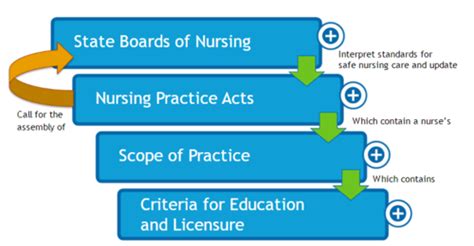 nurse practice act quizlet|nurse practice act toolkit.